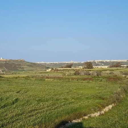 Farmhouse Villa With Large Pool And Garden In Gozo Għarb Buitenkant foto