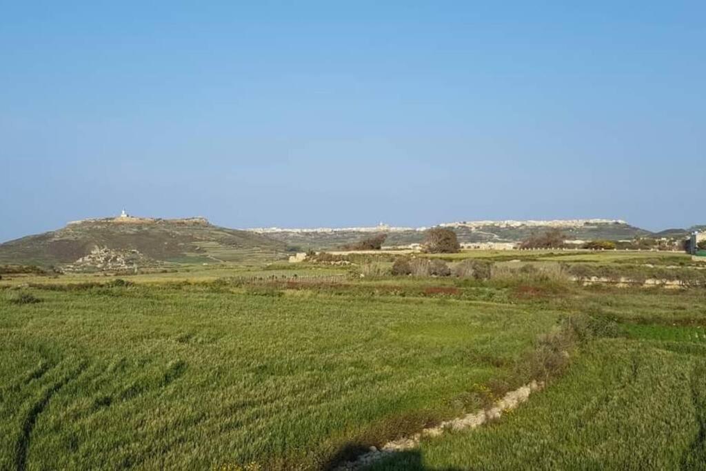 Farmhouse Villa With Large Pool And Garden In Gozo Għarb Buitenkant foto